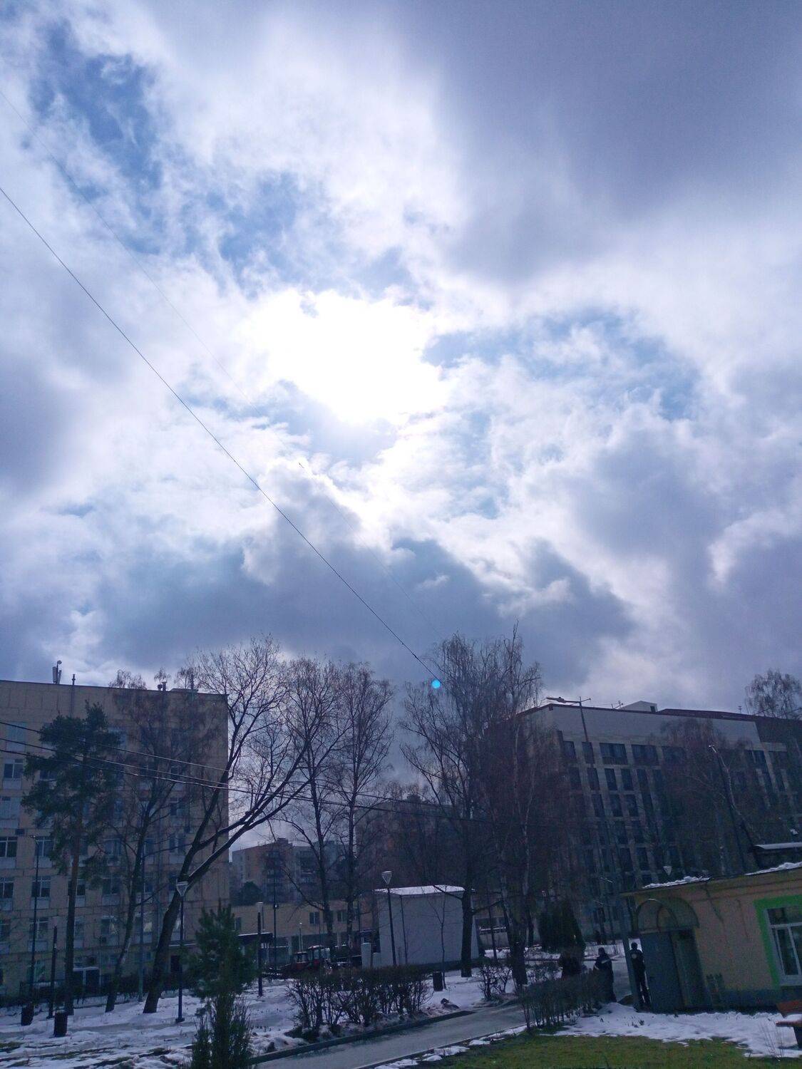 Photo #12263064