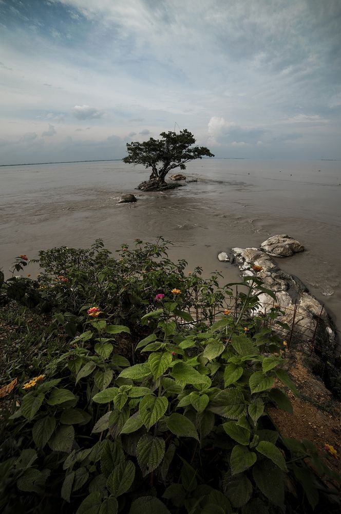 Photograph by Niranjan Baishya