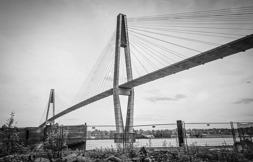 Фотография автора Anastasiya Arkin