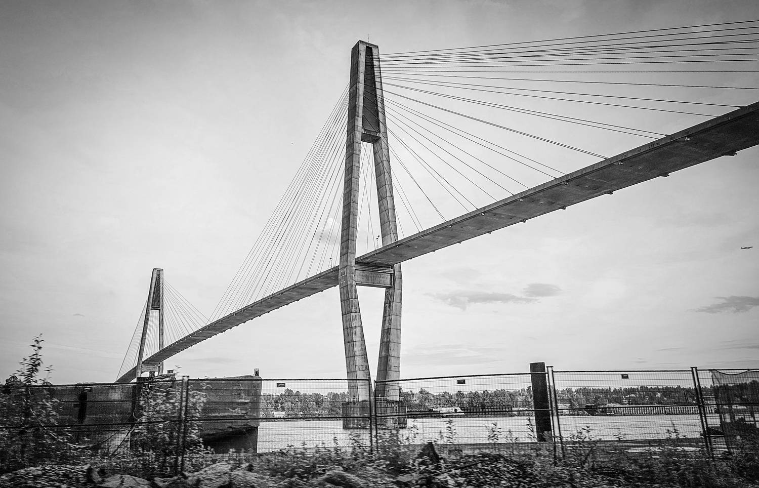 Фотография #12263146