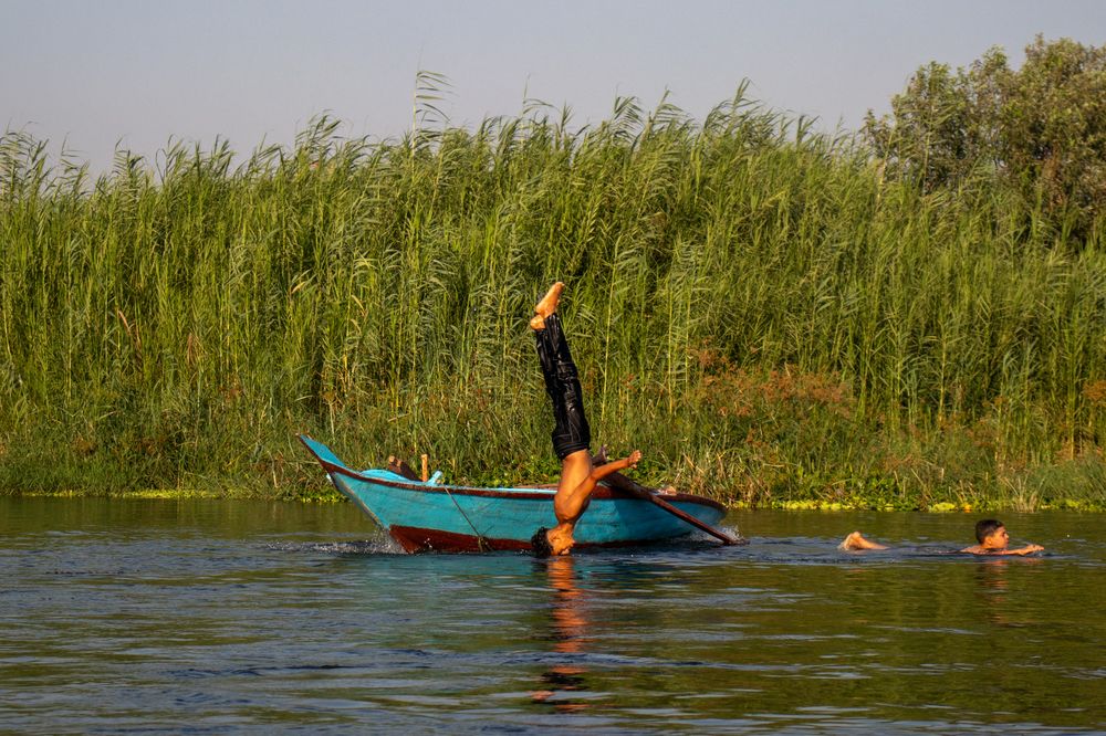 Фотография автора Mohamed Safwat