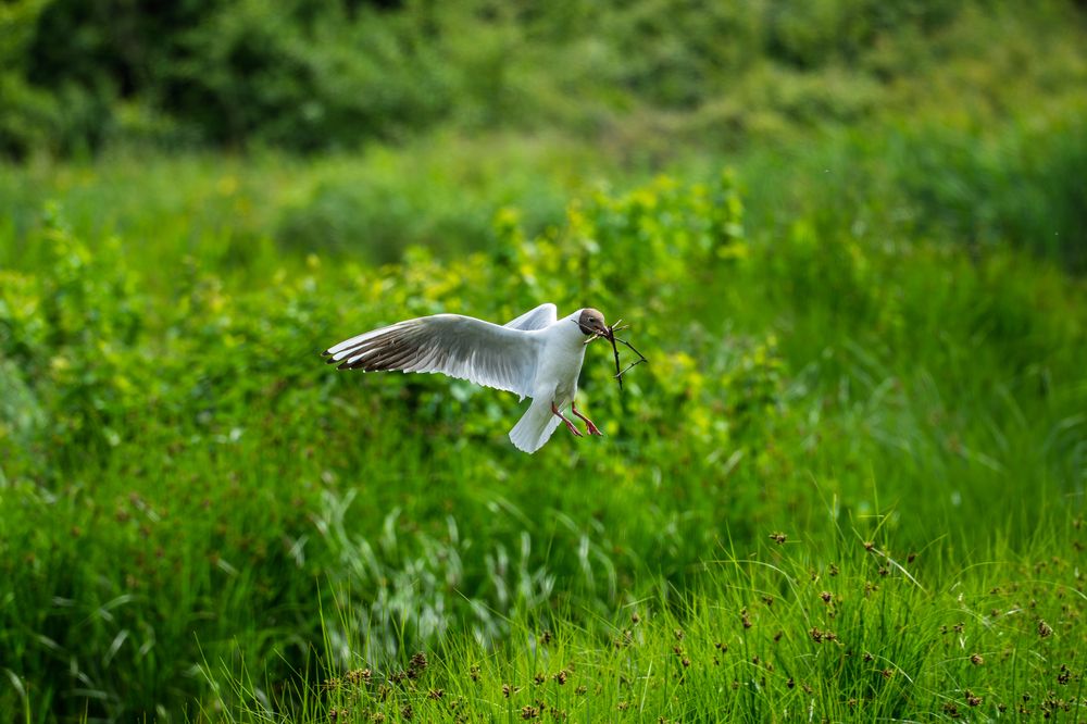 Photograph by Jakub Tulaza