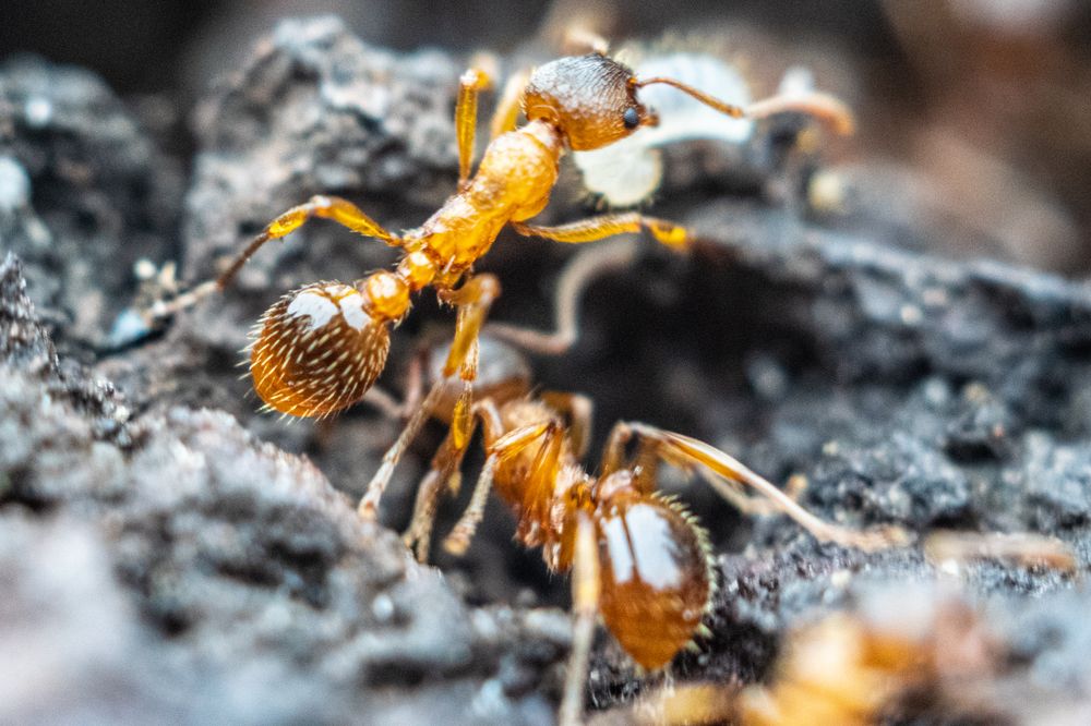 Photograph by Дмитрий Анисимов