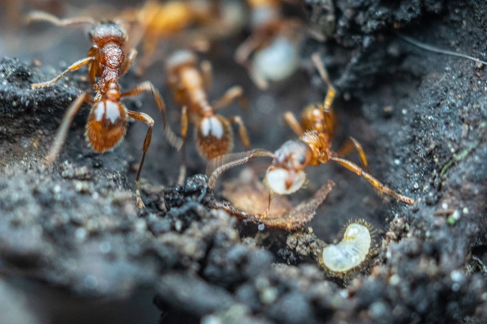 Photograph by Дмитрий Анисимов