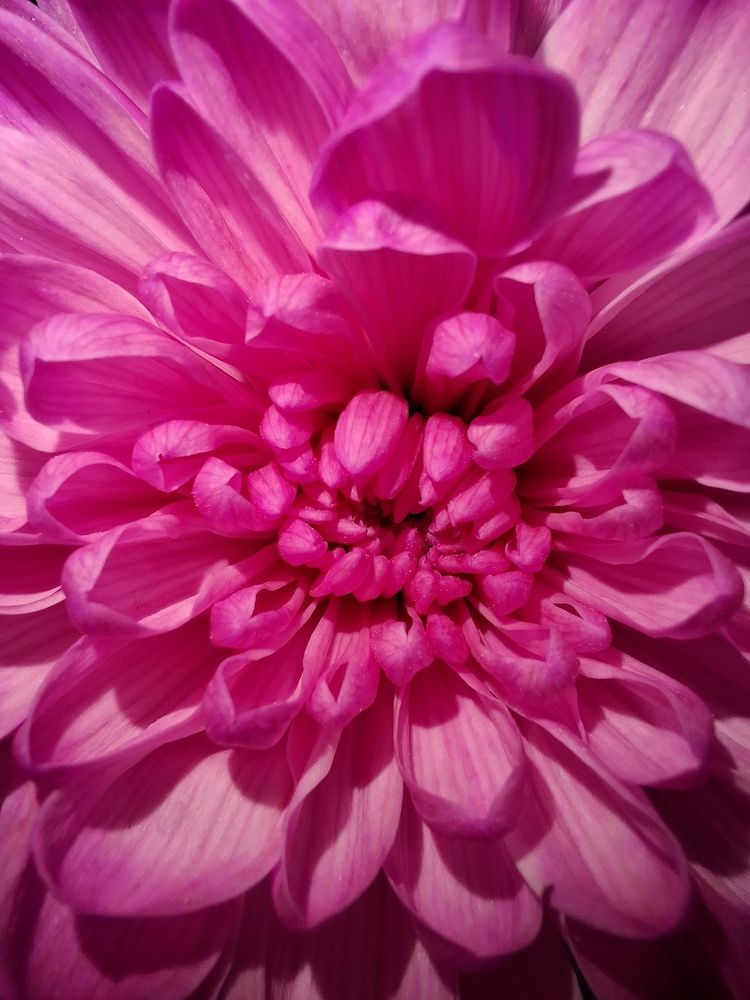 Photograph by Варвара