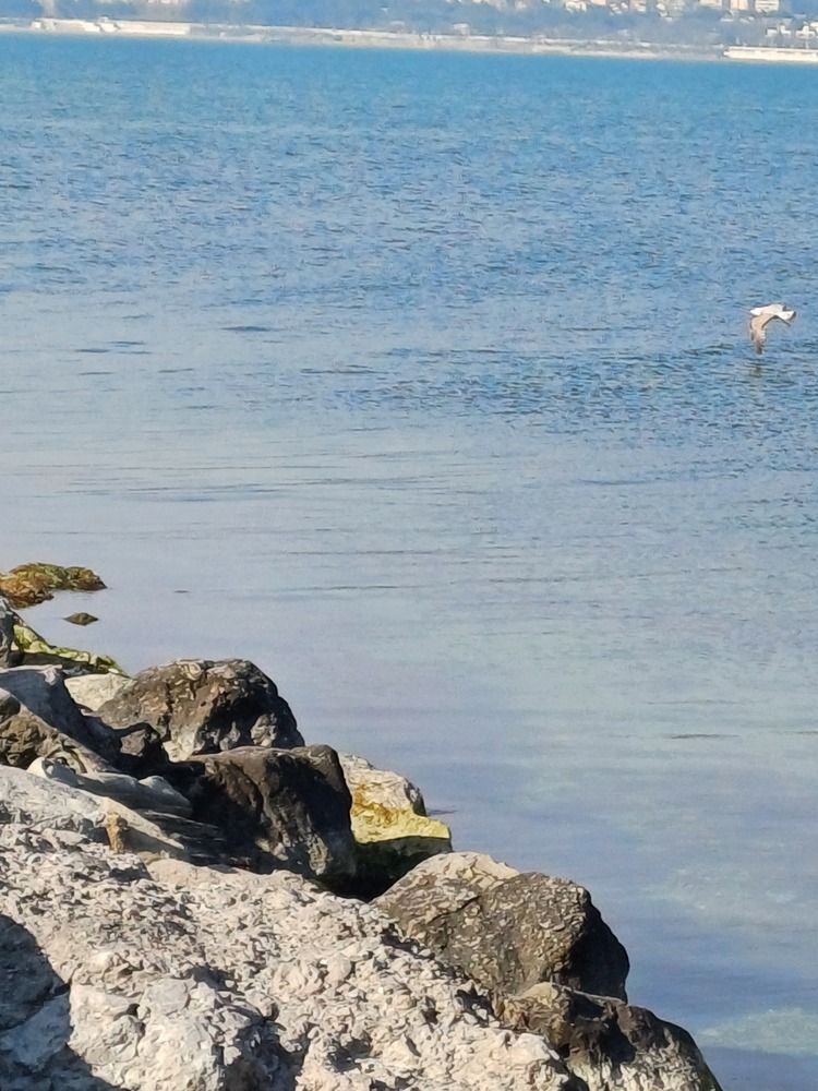 Photograph by Елена Казаренко