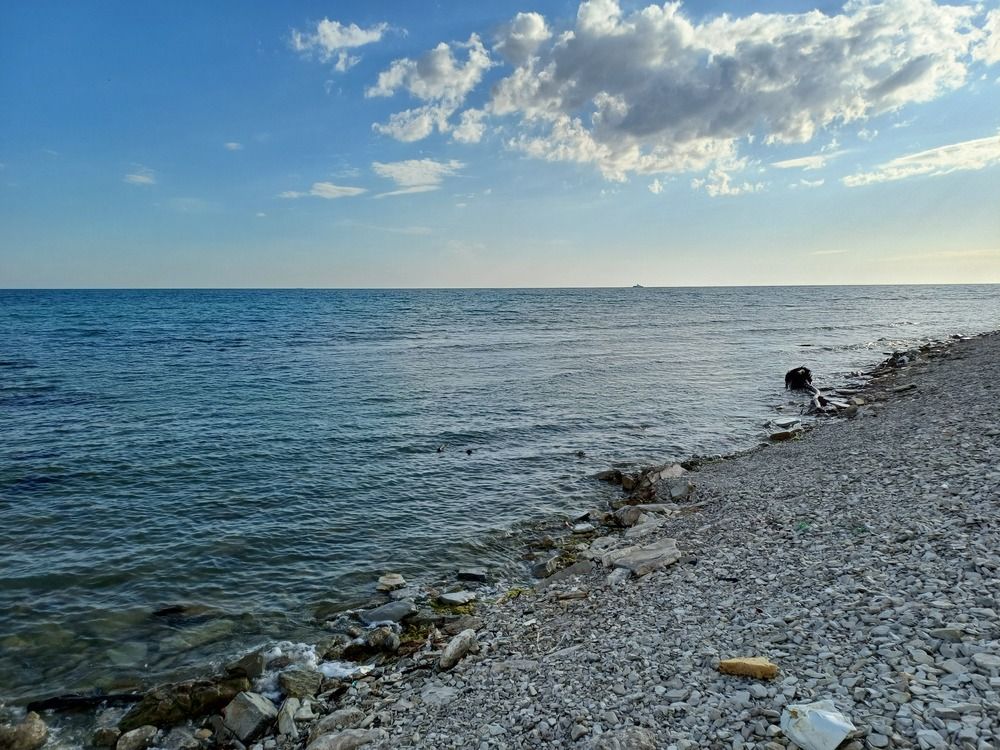 Photograph by Елена Казаренко