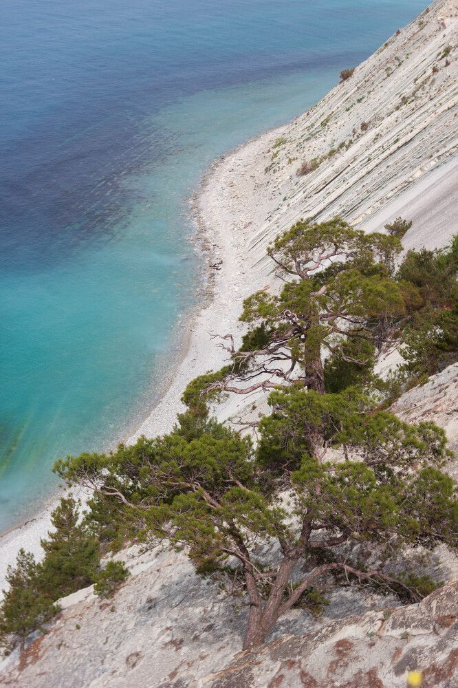 Photograph by Елена Казаренко