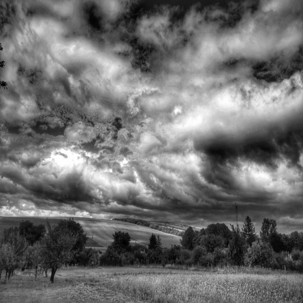 Photograph by Nikolett Mengyi