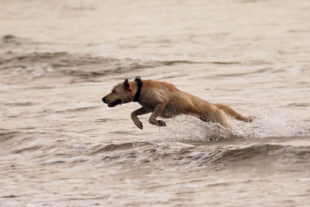 Photograph by Raed Victor Saad