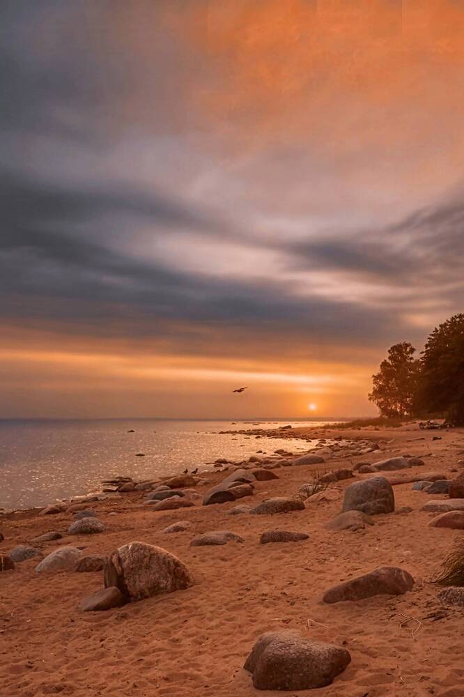 Photograph by Дарья Зуевская