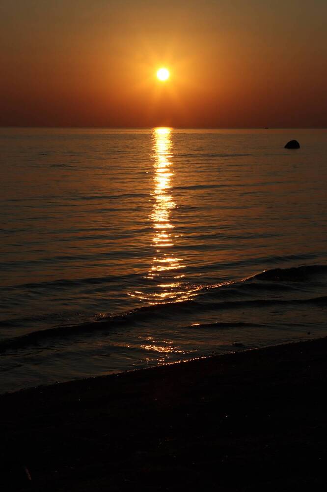 Photograph by Дарья Зуевская