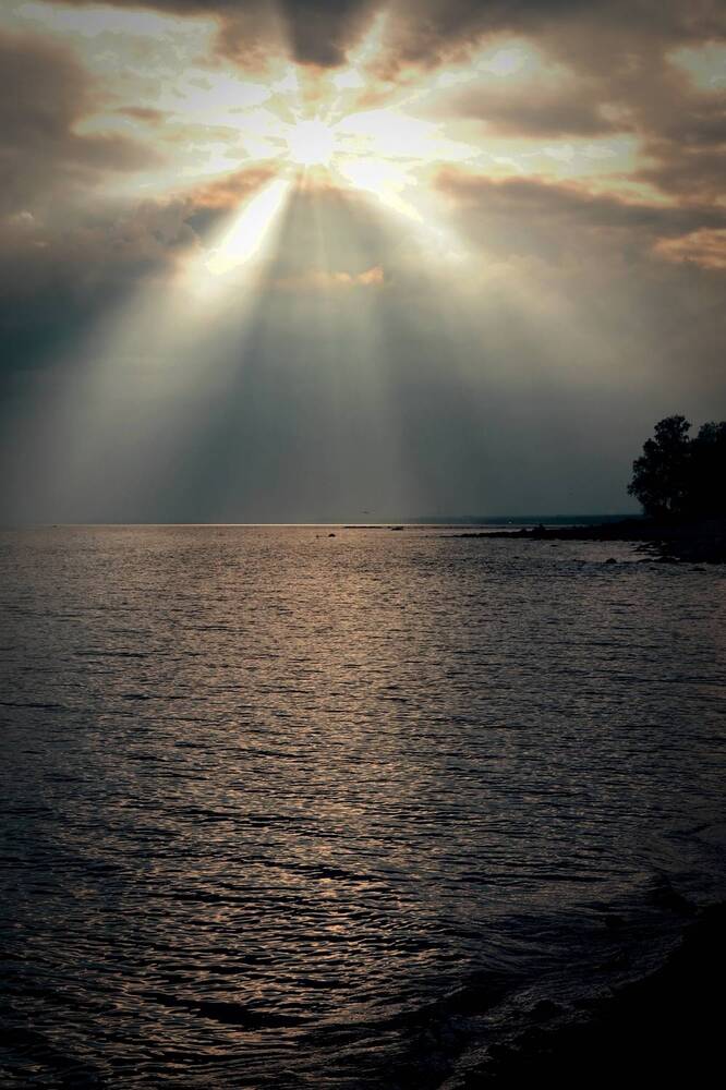 Photograph by Дарья Зуевская