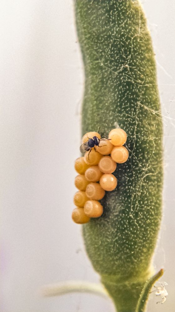 Фотография автора Наталья Алексеева