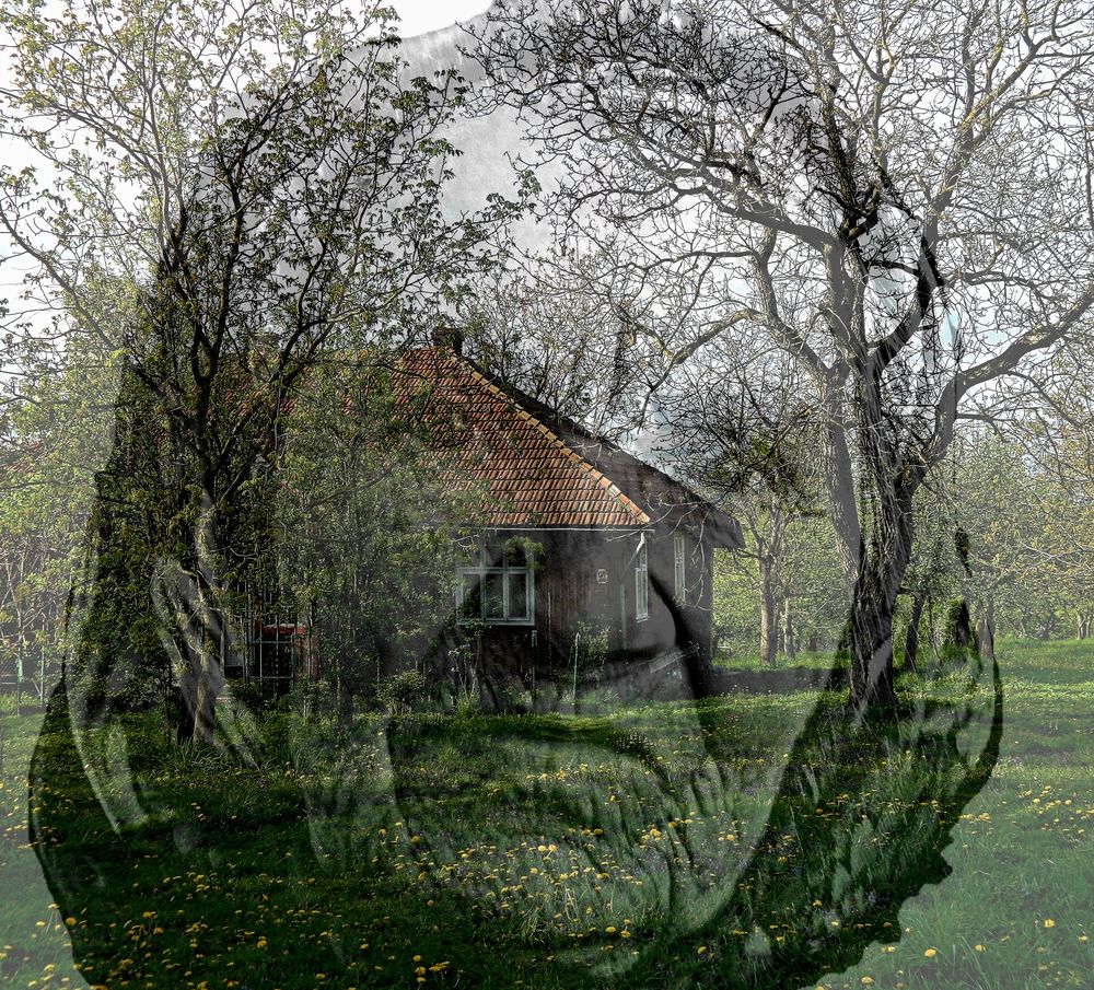 Photograph by Сергей Рапопорт