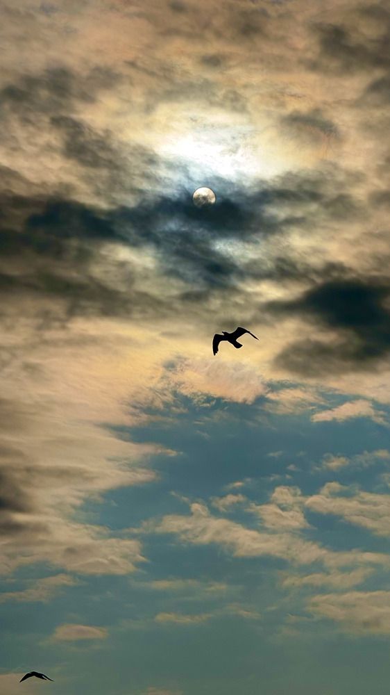 Photograph by Валентина Дмитрук