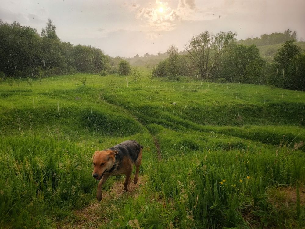 Photograph by Кондрашова Светлана