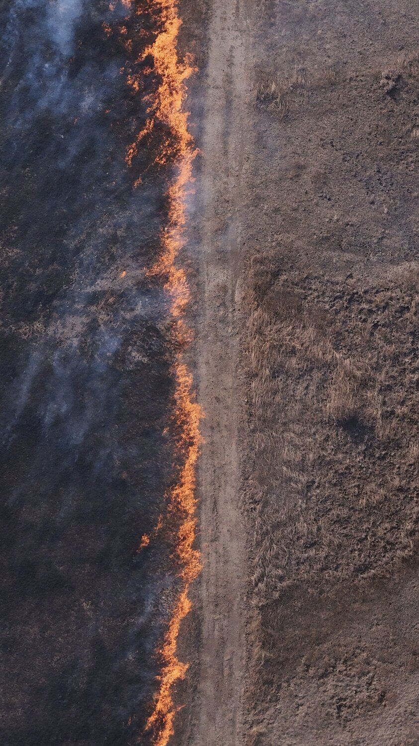 Photo #12264124