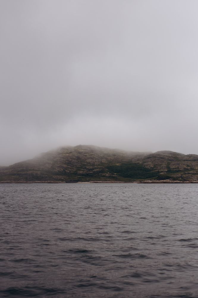 Photograph by Алиса Нежинская