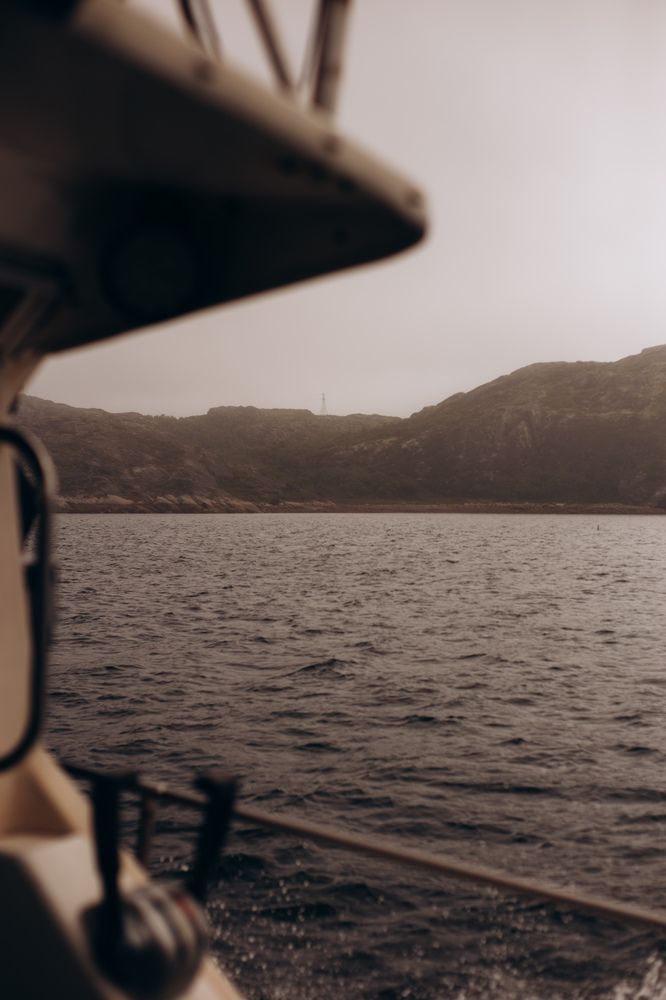 Photograph by Алиса Нежинская