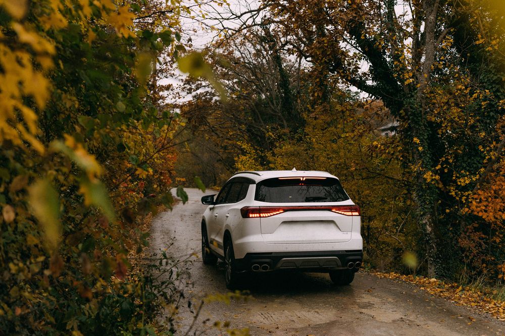 Photograph by Елена Воронина