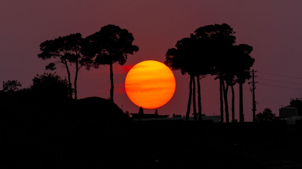Фотография автора Vahid Sabet
