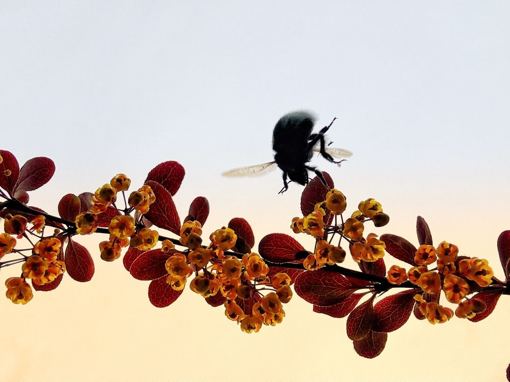 Photograph by Титаренко Людмила