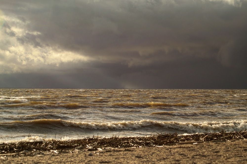 Photograph by Yana Egorova