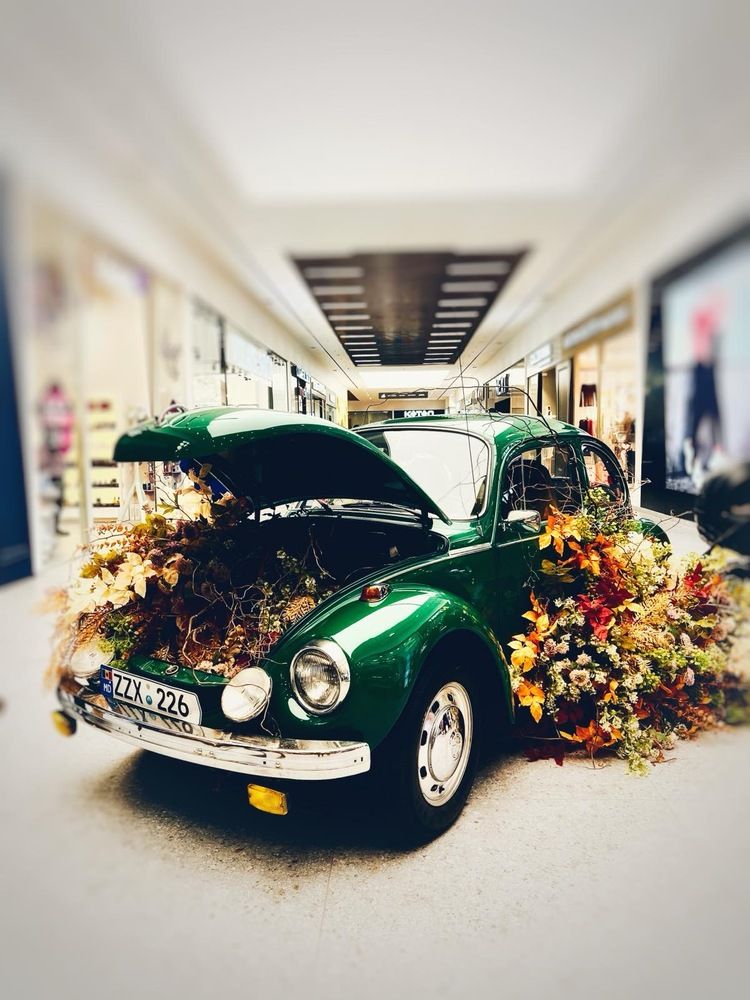 Фотография автора Татьяна Мичу-Николаевич