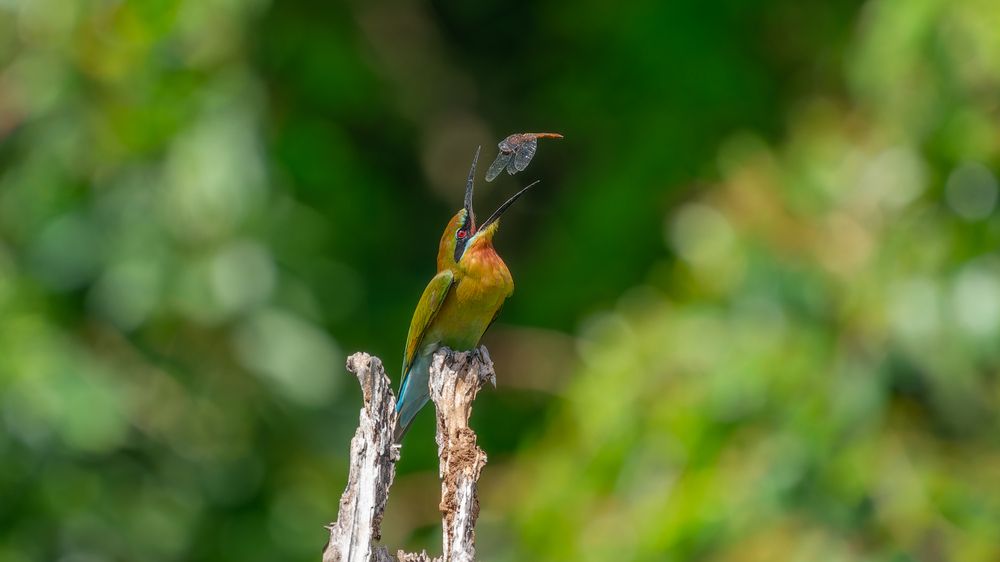 Photograph by Game Little