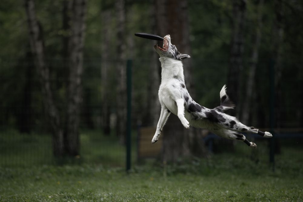 Photograph by Мария Шерскова