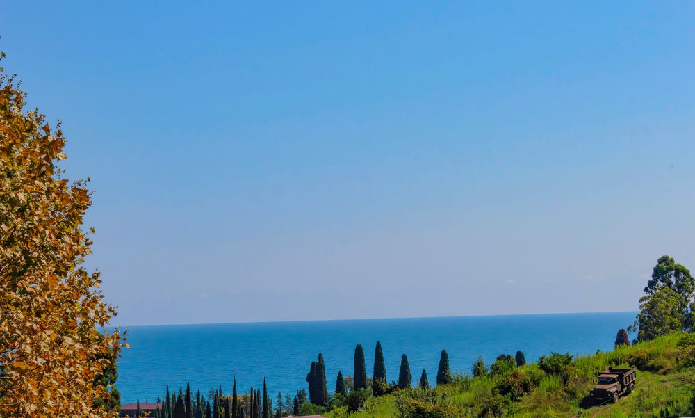 Photograph by Ирина Шибитова