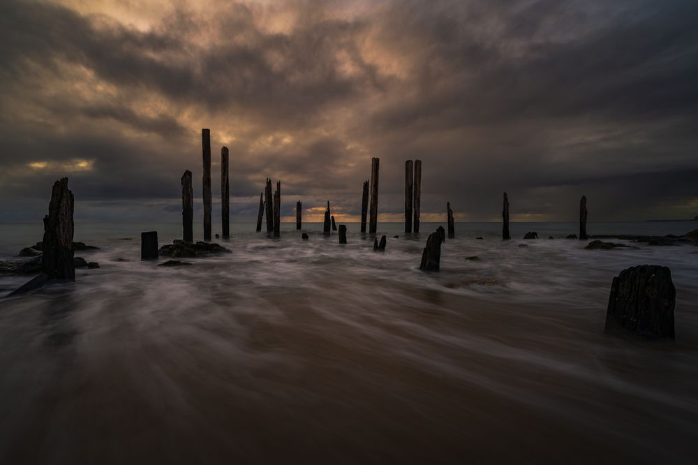 Photograph by Andrew Transini