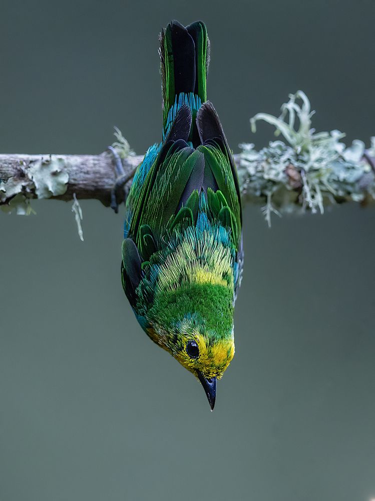 Photograph by Sreejith Sreedharan