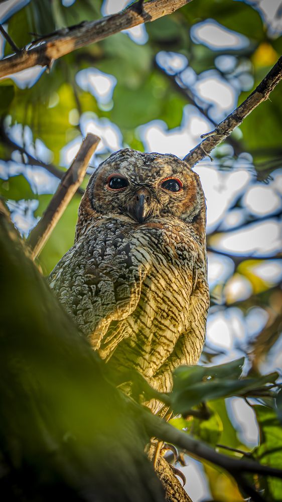 Photograph by Chaitanya Panday