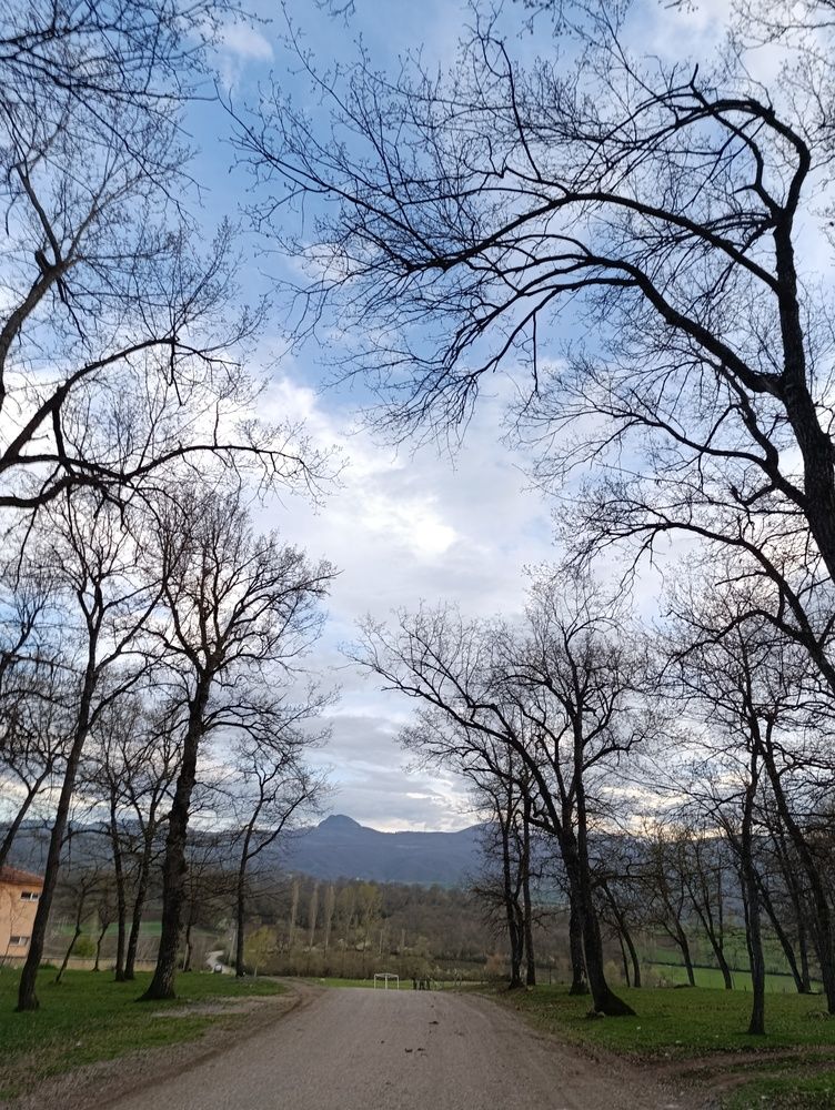 Photo #12264874