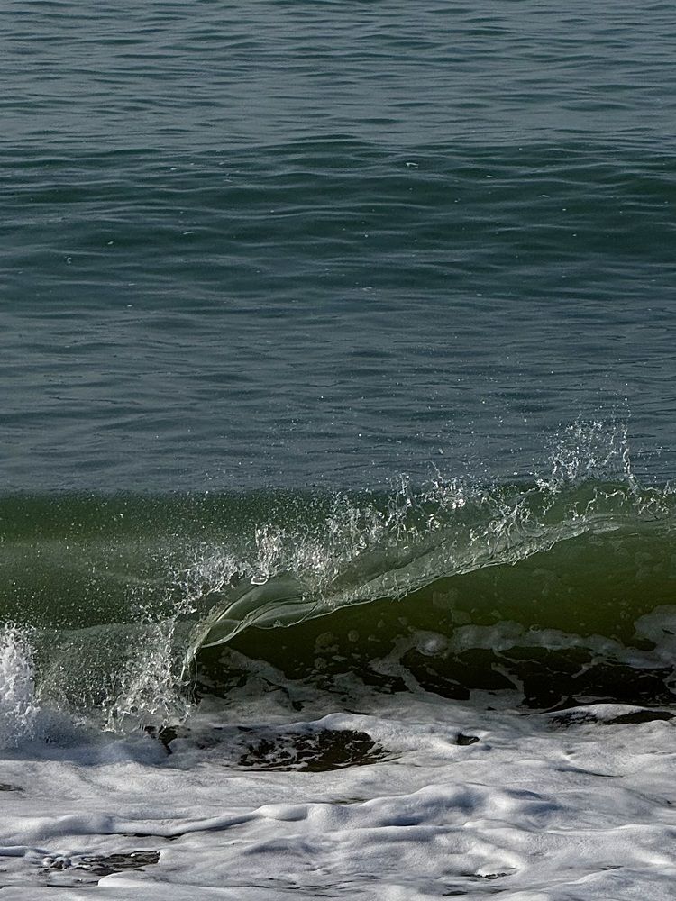 Фотография автора Елена Меньшикова