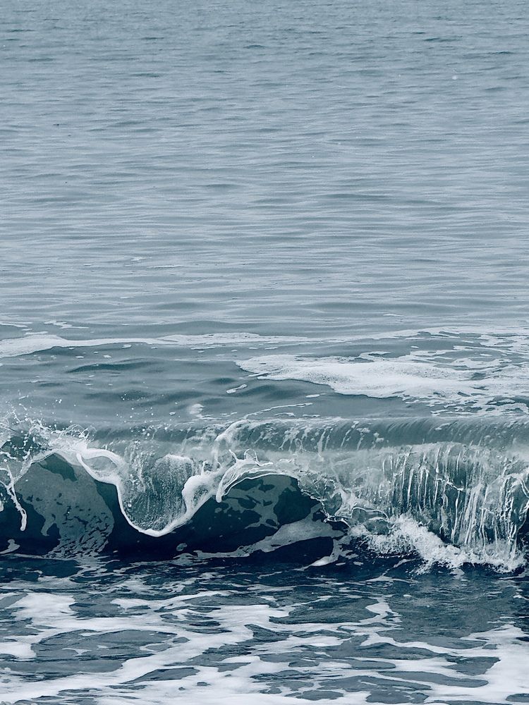 Фотография автора Елена Меньшикова