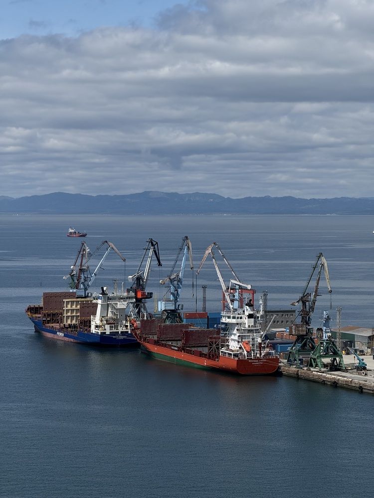 Фотография автора Елена Меньшикова