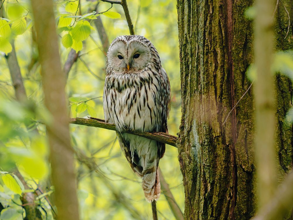 Photograph by Ольга Сергеева