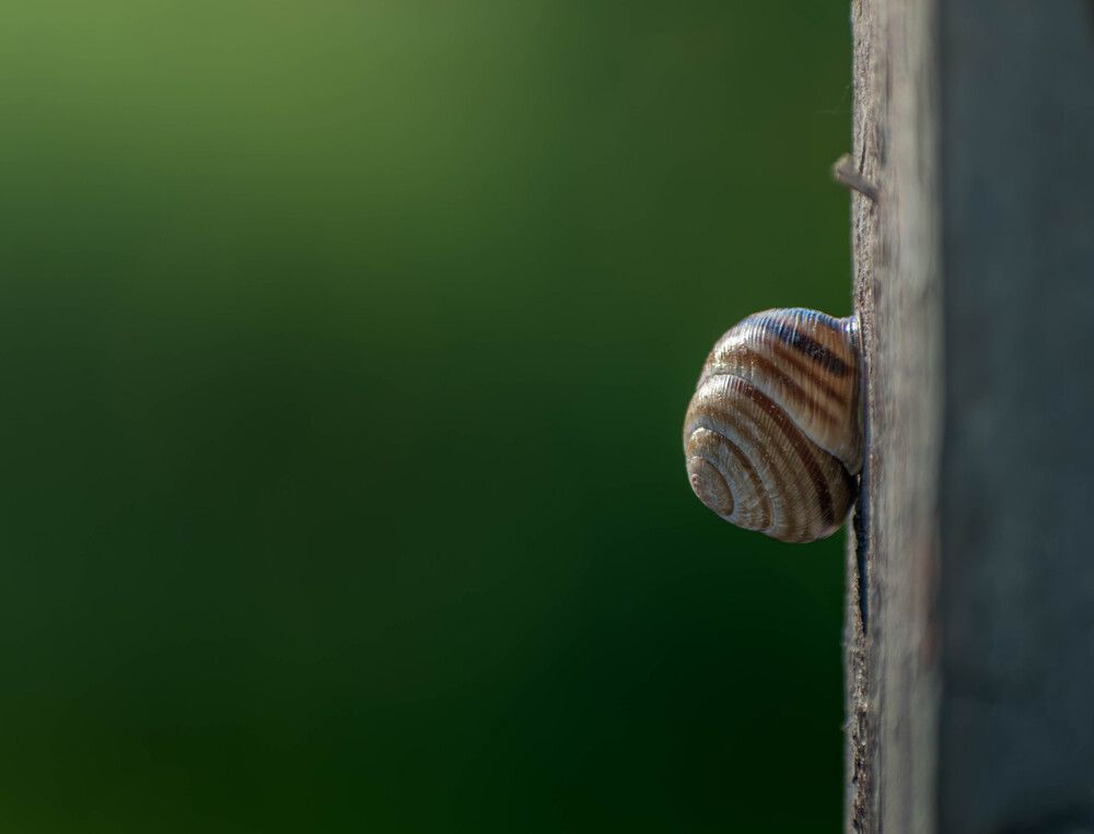 Photograph by Djordjevic Milan