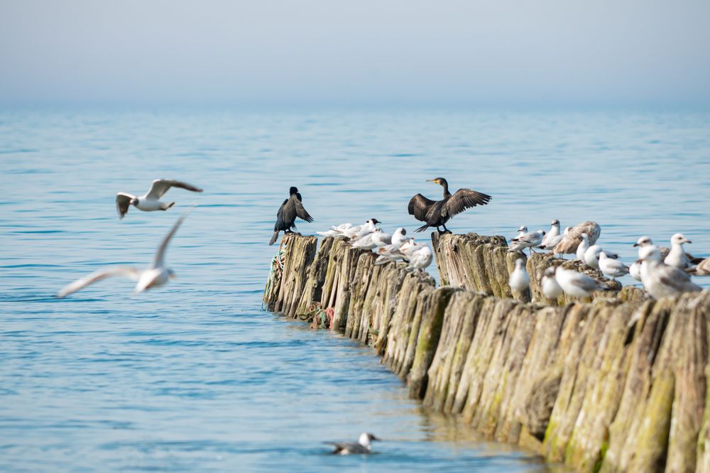 Photograph by Tanzilya Gabidullina