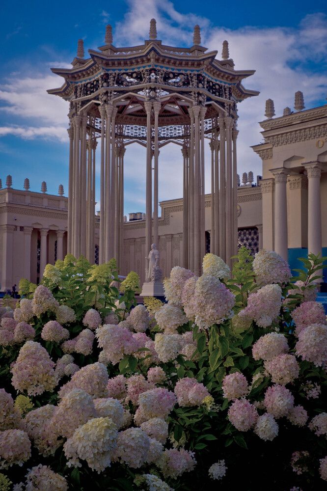 Photograph by Tatiana Potapenko