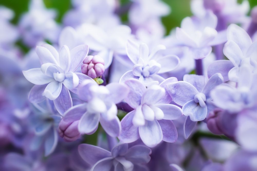 Photograph by Сергей Немчинов