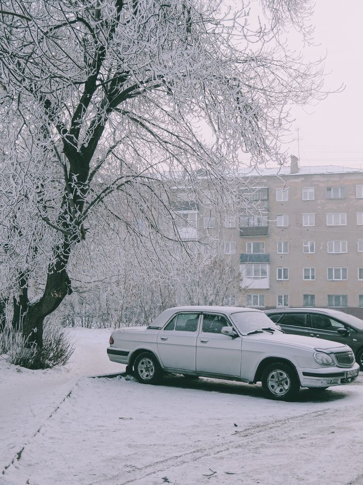 Photograph by Дарья Овсянникова