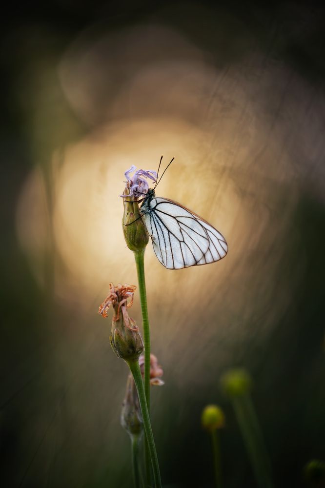Photograph by Павел Гавриков