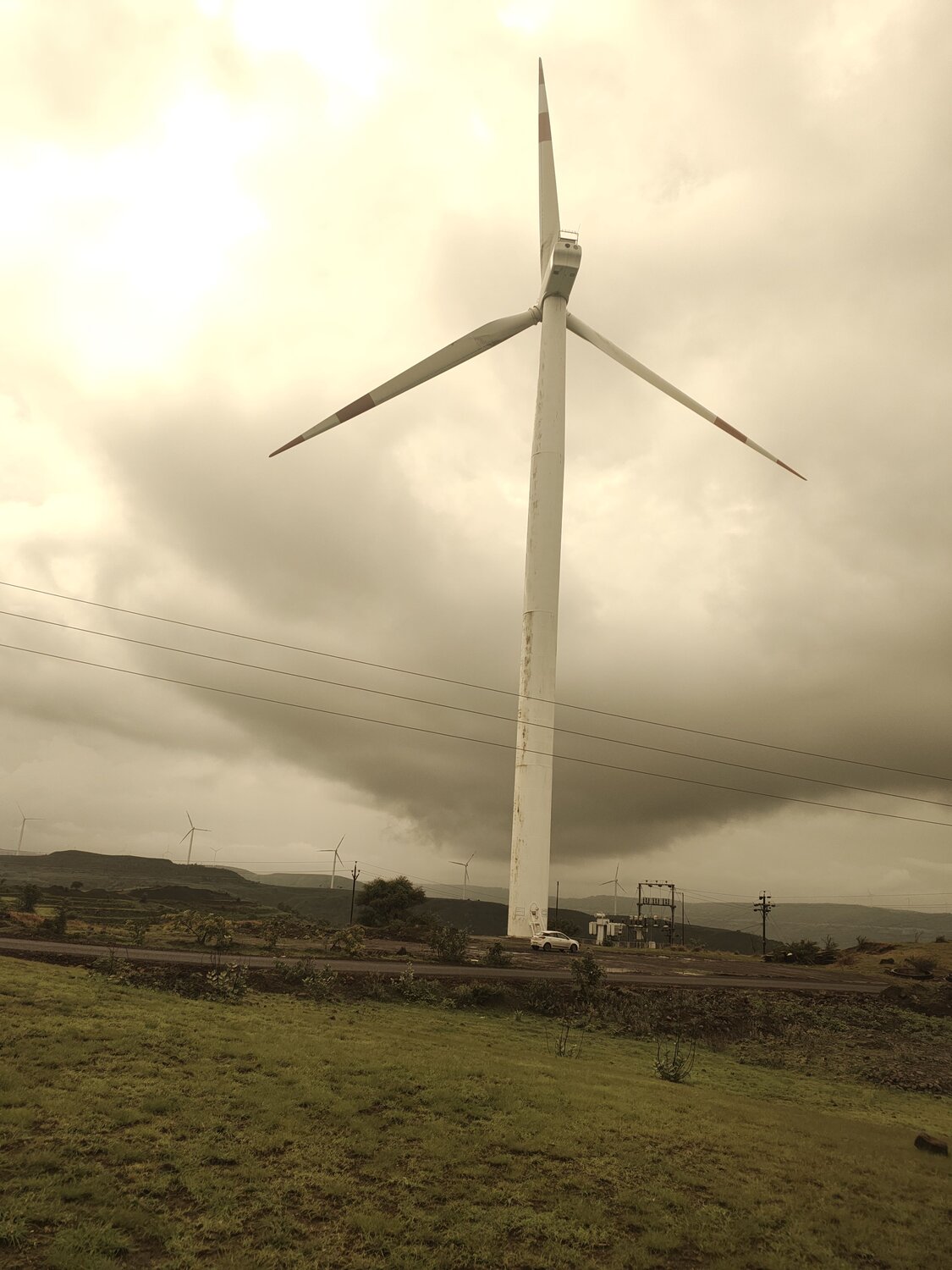 Photo #12265142