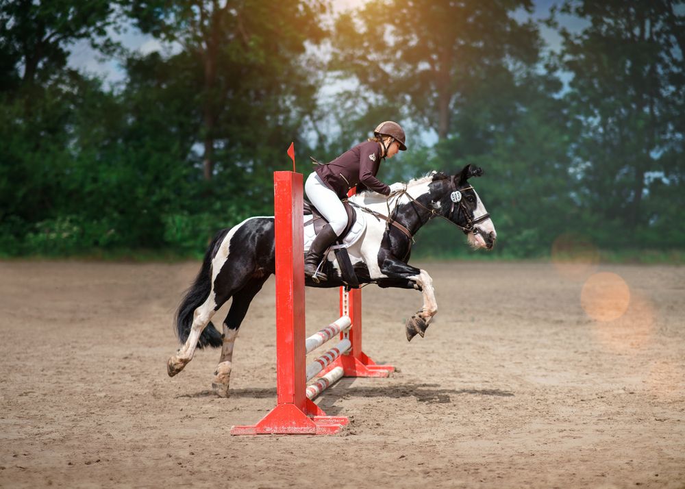 Photograph by Eugenia Hartung