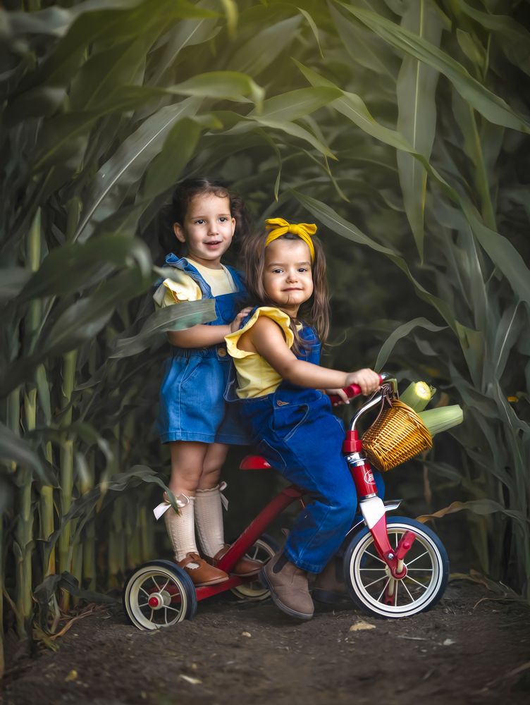 Фотография автора Lital Tzach Yona