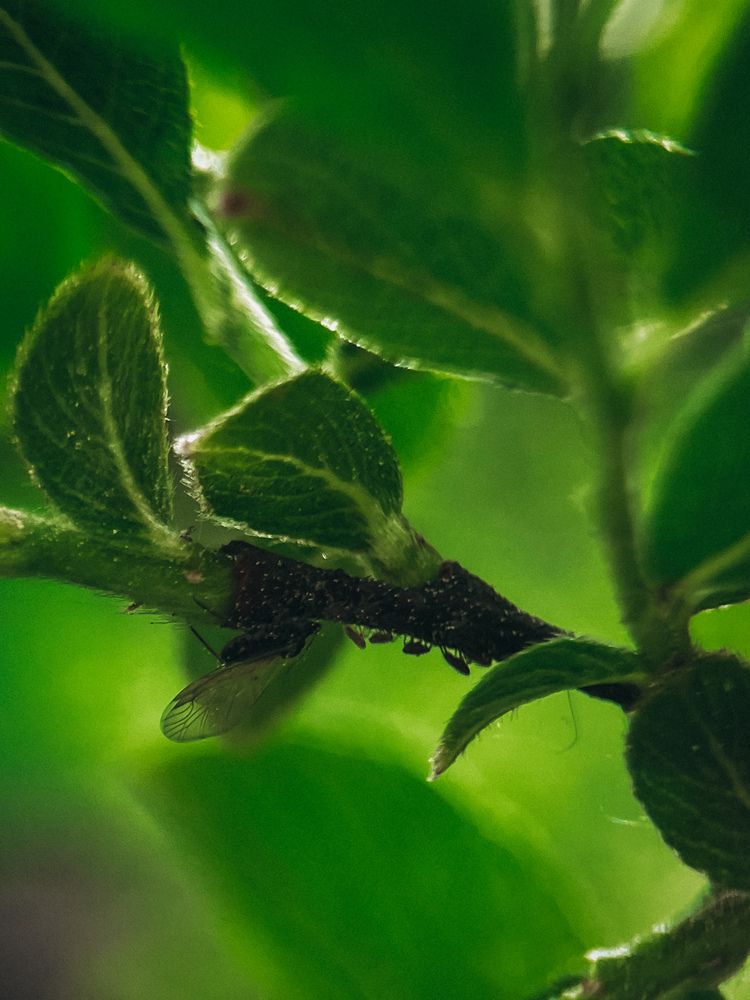 Photograph by Елена Михалева